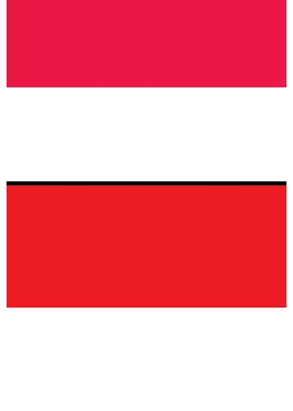 Foto - Akılda tutulması en zor ülke bayrakları