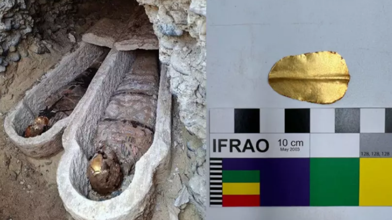 Ağızlarından altın dil çıktı! Nedeni çok şaşırttı!