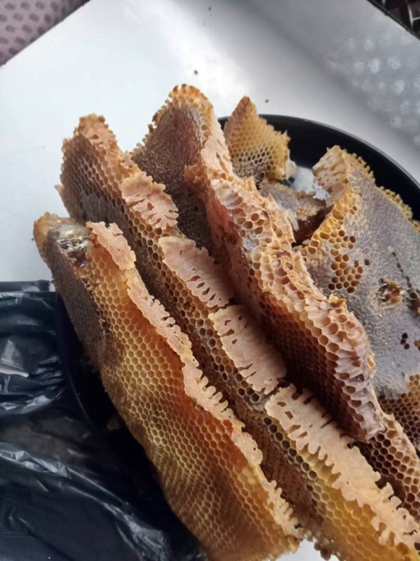 Foto - Akıllara durgunluk veren olay Düzce’de yaşandı! Seyahat için evdeki valizini açan adam hayatının şokunu yaşadı! Eliyle zor kaldırdı, kilolarca ağırlıkta