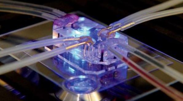 Foto - Akıllı telefonlar küçülmeye devam ediyor! Kredi kartı kadar küçük olacak