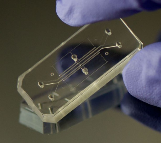 Foto - Akıllı telefonlar küçülmeye devam ediyor! Kredi kartı kadar küçük olacak