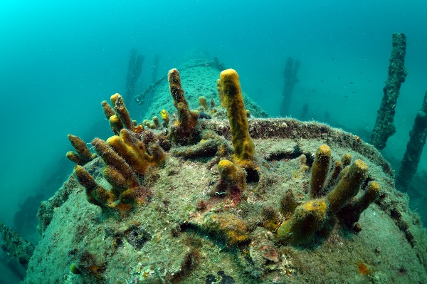 Foto - Akın akın turist gidiyor! Çanakkale Savaşı’nın su altındaki izleri