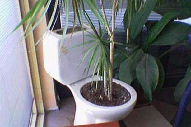 Foto - Akla zarar çözüm ve tasarımlar