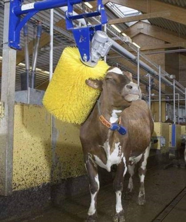 Foto - Akla zarar çözümler