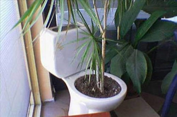 Foto - Akla zarar çözümler