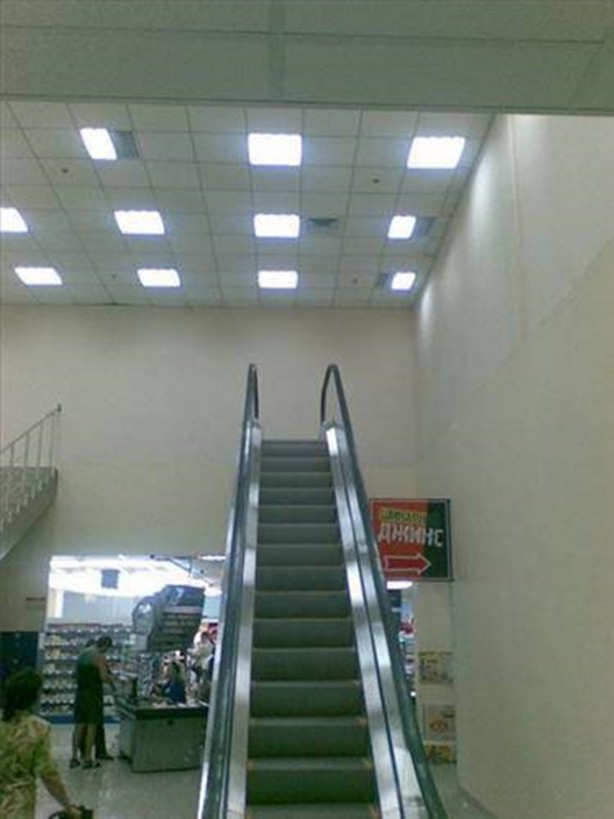 Foto - Akla zarar çözümler