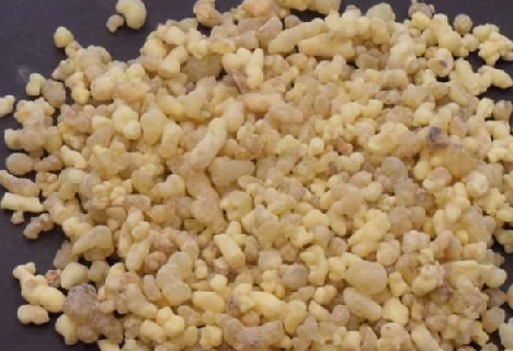 Foto - Aklınıza gelebilecek her hastalığa faydası var, duyan şaşırıyor! Türk uzmanı: nefes kesen besin, hiç eksik etmeyin!