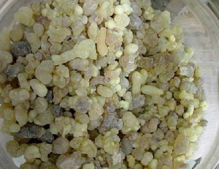 Foto - Aklınıza gelebilecek her hastalığa faydası var, duyan şaşırıyor! Türk uzmanı: nefes kesen besin, hiç eksik etmeyin!