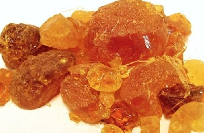 Foto - Aklınıza gelebilecek her hastalığa faydası var, duyan şaşırıyor! Türk uzmanı: nefes kesen besin, hiç eksik etmeyin!