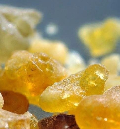 Foto - Aklınıza gelebilecek her hastalığa faydası var, duyan şaşırıyor! Türk uzmanı: nefes kesen besin, hiç eksik etmeyin!