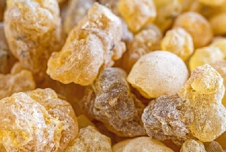 Foto - Aklınıza gelebilecek her hastalığa faydası var, duyan şaşırıyor! Türk uzmanı: nefes kesen besin, hiç eksik etmeyin!