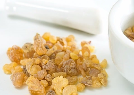 Foto - Aklınıza gelebilecek her hastalığa faydası var, duyan şaşırıyor! Türk uzmanı: nefes kesen besin, hiç eksik etmeyin!