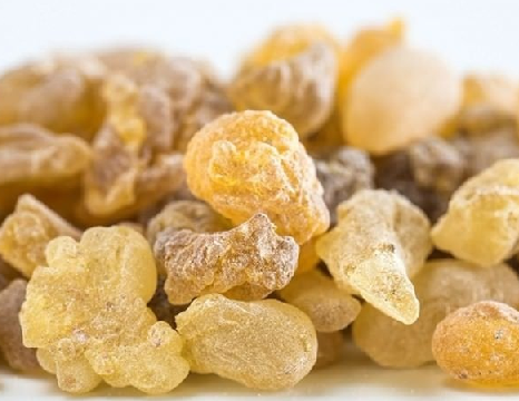 Foto - Aklınıza gelebilecek her hastalığa faydası var, duyan şaşırıyor! Türk uzmanı: nefes kesen besin, hiç eksik etmeyin!