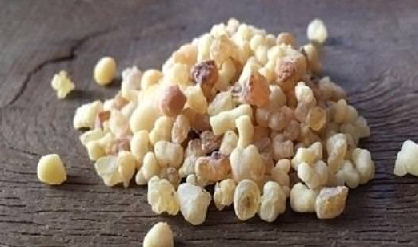 Foto - Aklınıza gelebilecek her hastalığa faydası var, duyan şaşırıyor! Türk uzmanı: nefes kesen besin, hiç eksik etmeyin!