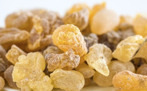 Foto - Aklınıza gelebilecek her hastalığa faydası var, duyan şaşırıyor! Türk uzmanı: nefes kesen besin, hiç eksik etmeyin!