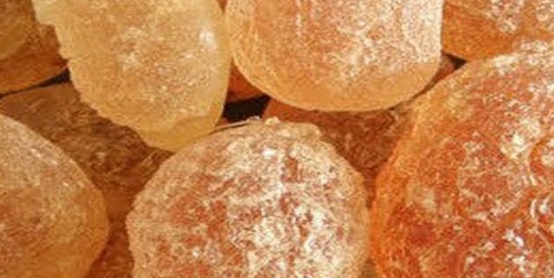 Foto - Aklınıza gelebilecek her hastalığa faydası var: iltihap karşıtı, bitiren rakip altın aday! Herkesin gözü onda tonlarca alıyorlar