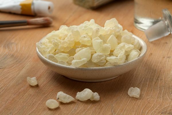 Foto - Aklınıza gelebilecek her hastalığa faydası var! İşte baştan sona yenilme yaptığı söylenen her derde deva besin 