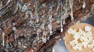 Foto - Aklınıza gelebilecek her hastalığa faydası var! İşte baştan sona yenilme yaptığı söylenen her derde deva besin 