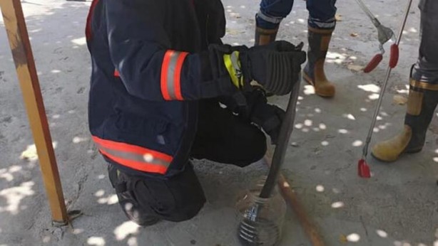 Foto - Akrep ve yılan paniği! Onlarca kişi hastanelerde acile koştu