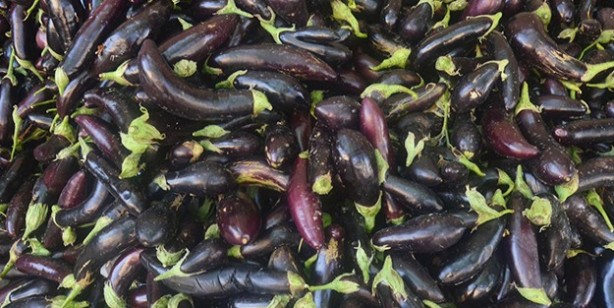 Foto - İftar yemeğinde patlıcan yemeniz için 4 neden! Sağlığınız iyi olsun diye siz de deneyin!