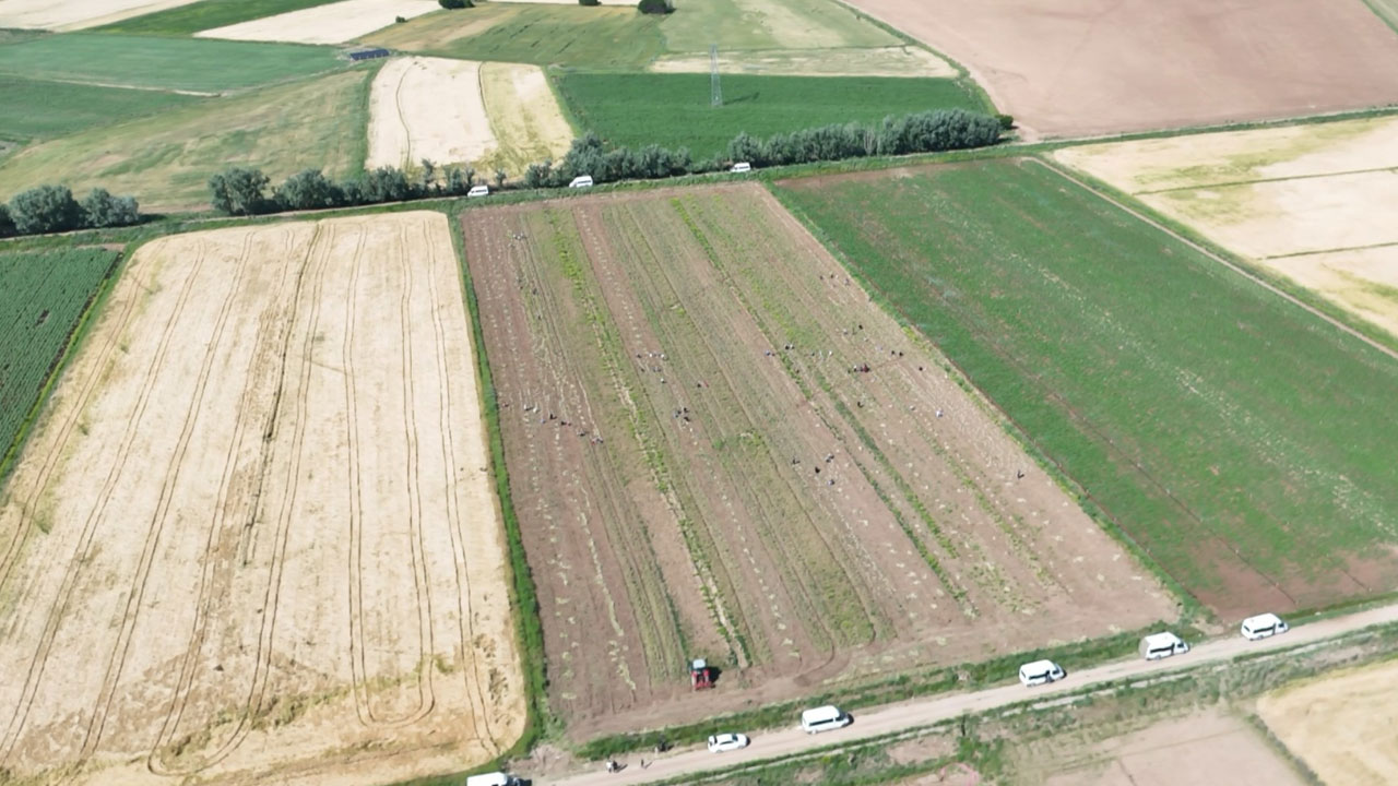 Foto - Aksaray’dan Rusya’ya başlayan yolculuk! Antibiyotiğe dönüşen ata tohumu