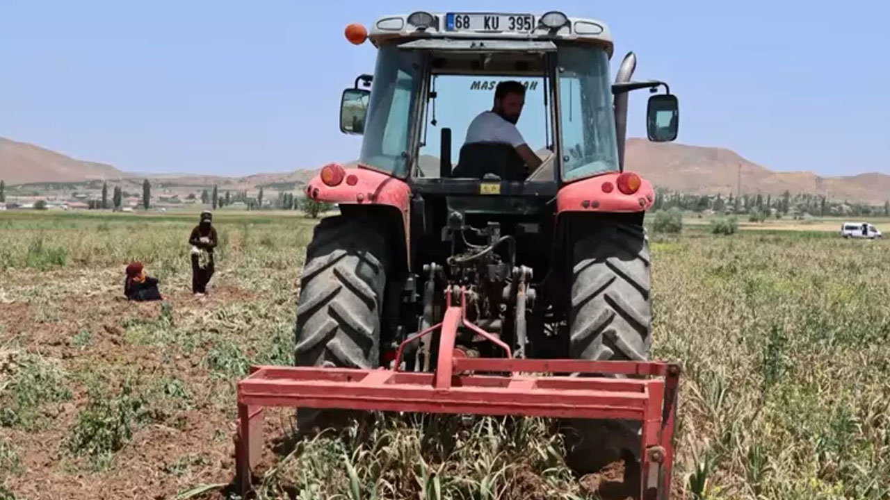 Foto - Aksaray'ın organik sarımsağı Rusya ve Almanya'ya kilo kilo satılıyor: Yurtdışından talep arttı! Öyle bir şey ki...