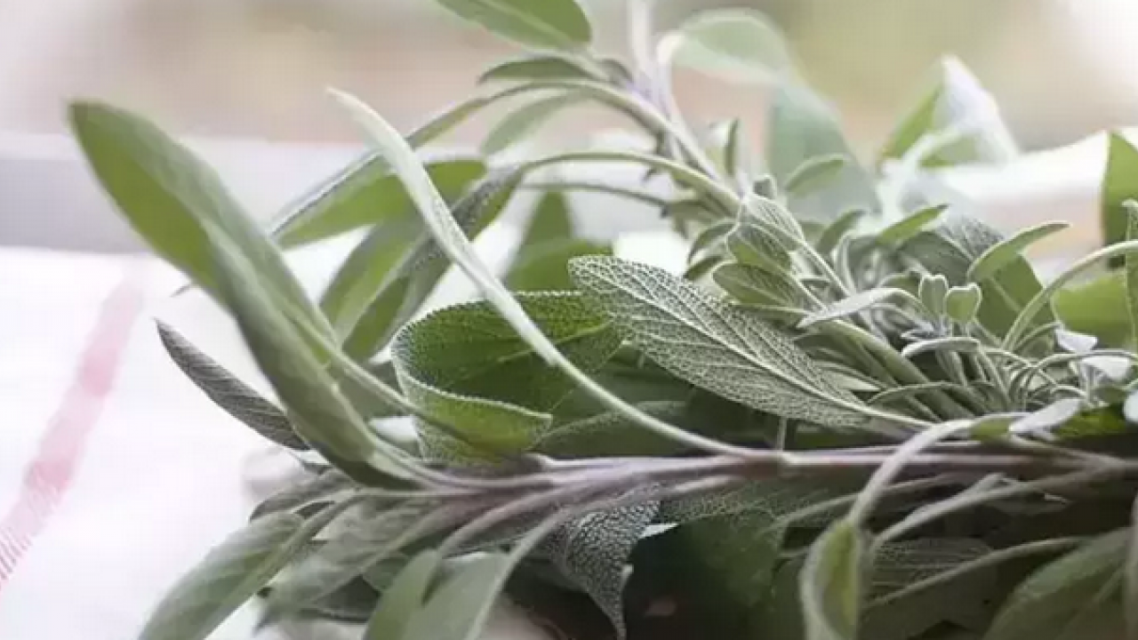 Foto - Aktardan alıp bardak bardak için! Metabolizmayı canavar gibi yapıyor, şişkinlikten artık eser kalmayacak…