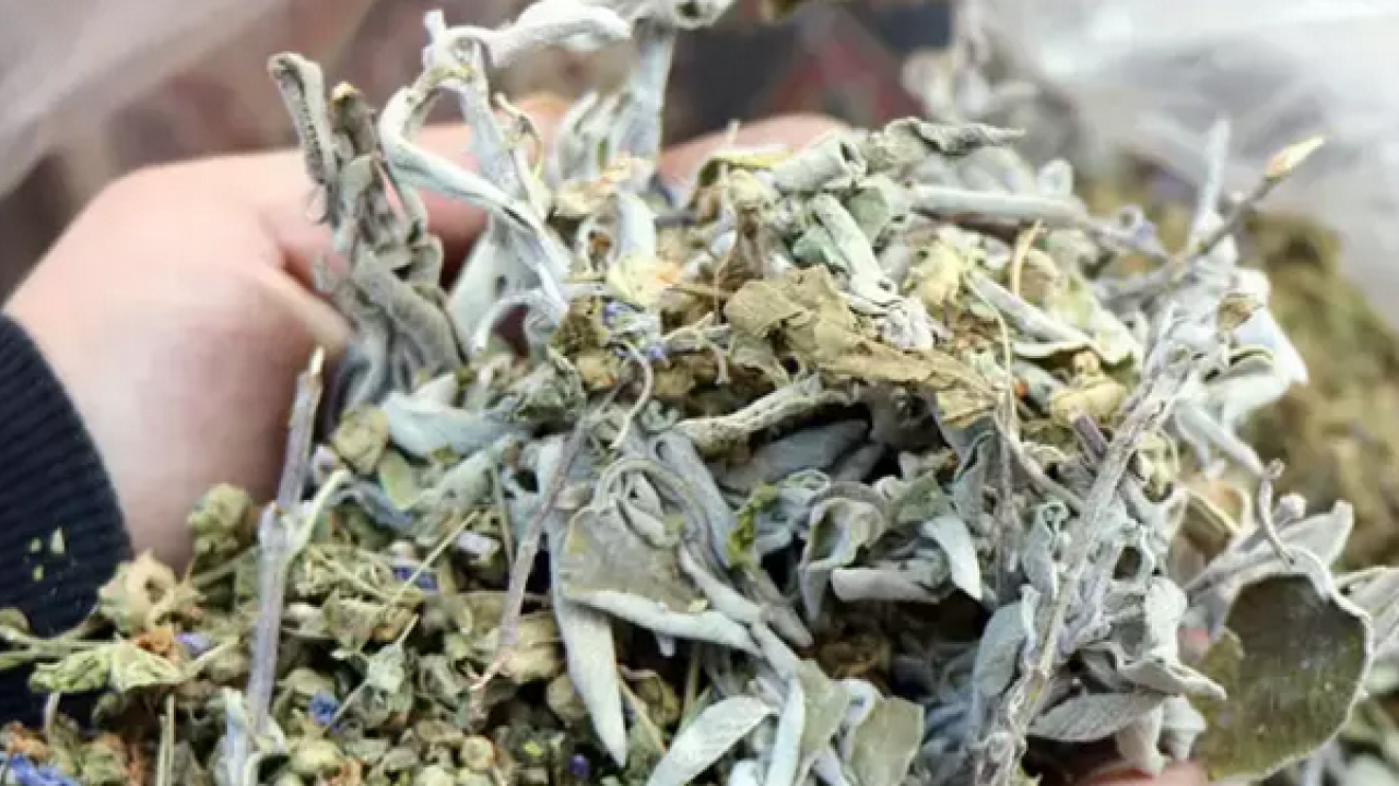 Foto - Aktardan alıp bardak bardak için! Metabolizmayı canavar gibi yapıyor, şişkinlikten artık eser kalmayacak…