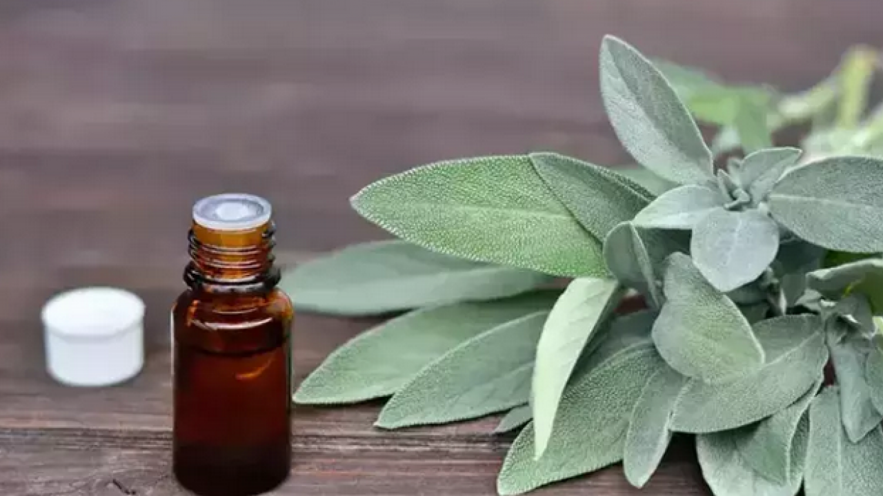 Foto - Aktardan alıp bardak bardak için! Metabolizmayı canavar gibi yapıyor, şişkinlikten artık eser kalmayacak…