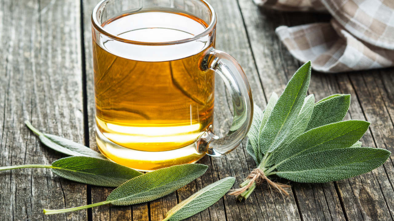Foto - Aktardan alıp bardak bardak için! Metabolizmayı canavar gibi yapıyor, şişkinlikten artık eser kalmayacak…