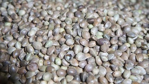 Foto - Aktarlarda satışı yasaklanan ürünler