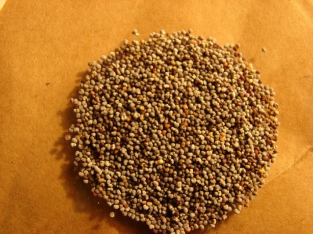 Foto - Aktarlarda satışı yasaklanan ürünler