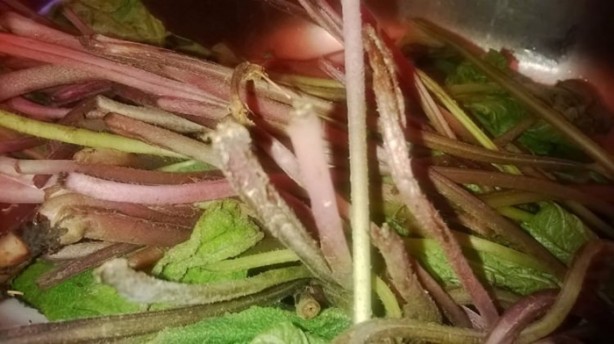 Foto - Aktarlarda satışı yasaklanan ürünler