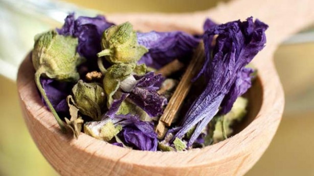 Foto - Aktarlarda yok satan ebegümeci tam bir şifa kaynağı