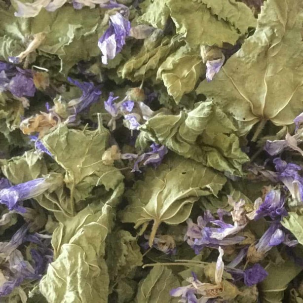 Foto - Aktarlarda yok satan ebegümeci tam bir şifa kaynağı