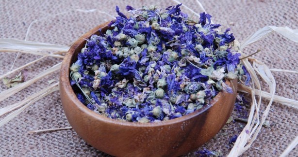 Foto - Aktarlarda yok satan ebegümeci tam bir şifa kaynağı