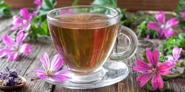 Foto - Aktarlarda yok satan ebegümeci tam bir şifa kaynağı