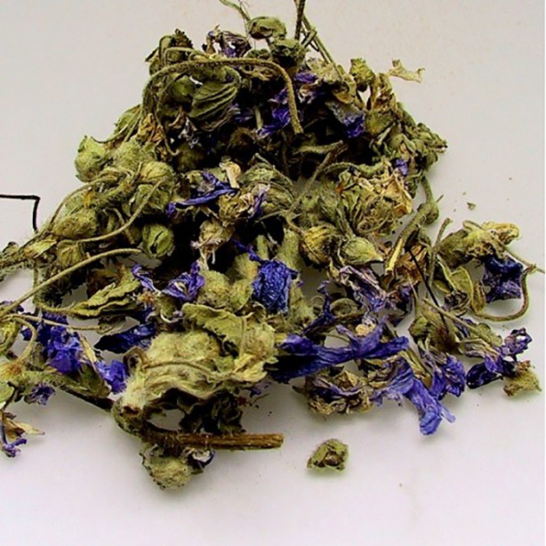 Aktarlarda yok satan ebegümeci tam bir şifa kaynağı