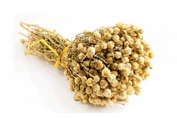 Foto - Aktarlarda yok satıyor! Maddi ve manevi şifa sağlıyor