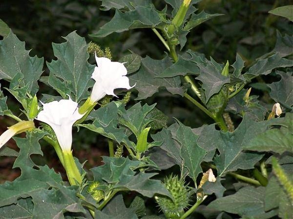 Foto - Aktarlardan bu ürünleri sakın almayın! Yasaklandılar!