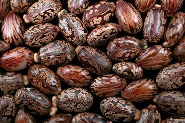 Foto - Aktarlardan bu ürünleri sakın almayın! Yasaklandılar!