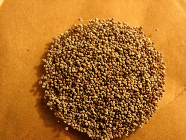 Foto - Aktarlardan bu ürünleri sakın almayın! Yasaklandılar!