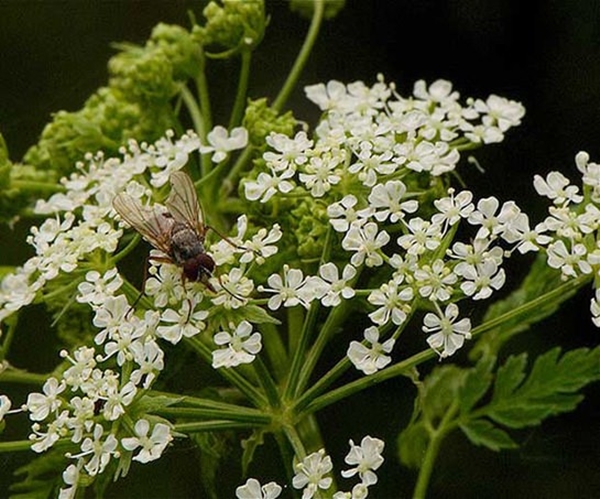 Foto - Aktarlardan bu ürünleri sakın almayın! Yasaklandılar!