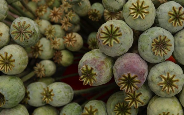 Foto - Aktarlardan bu ürünleri sakın almayın! Yasaklandılar!