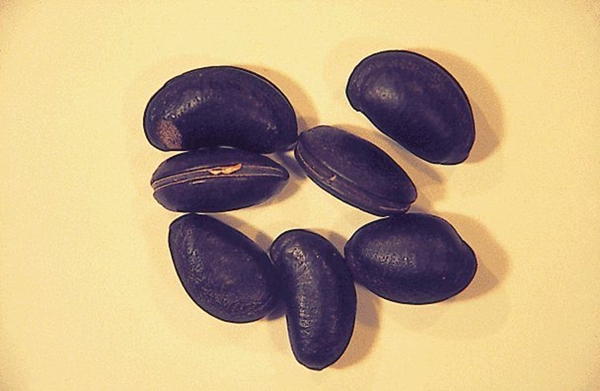 Foto - Aktarlardan bu ürünleri sakın almayın! Yasaklandılar!