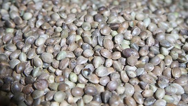 Foto - Aktarlardan bu ürünleri sakın almayın! Yasaklandılar!