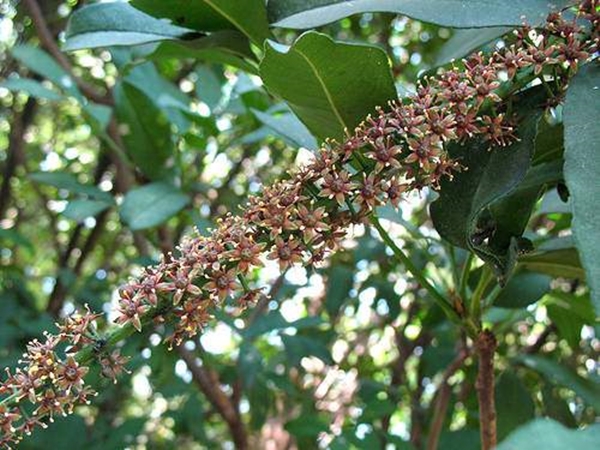 Foto - Aktarlardan bu ürünleri sakın almayın! Yasaklandılar!