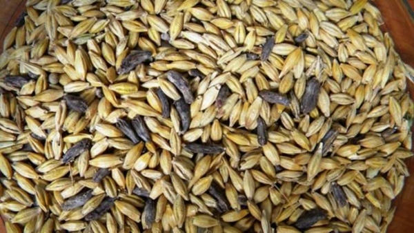 Foto - Aktarlardan bu ürünleri sakın almayın! Yasaklandılar!