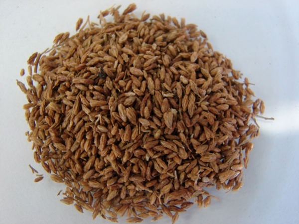 Foto - Aktarlardan bu ürünleri sakın almayın! Yasaklandılar!