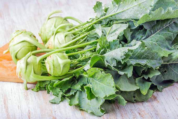 Foto - Alabaş kanserden koruyor!